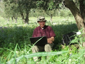 Kent Brown in an olive grove, Sicily, 2013